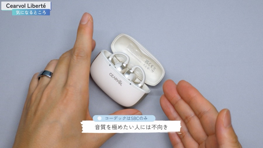 コーデックはSBCのみ